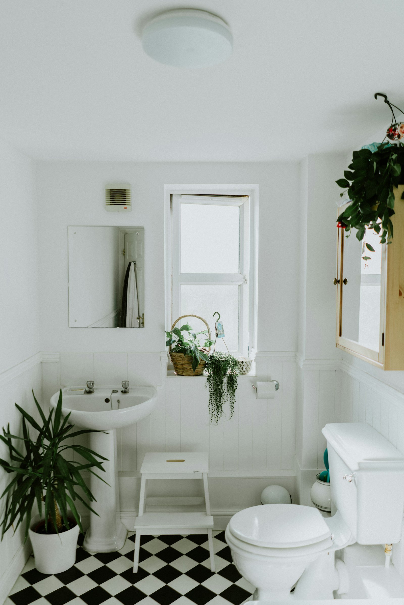 Clean white sink detail