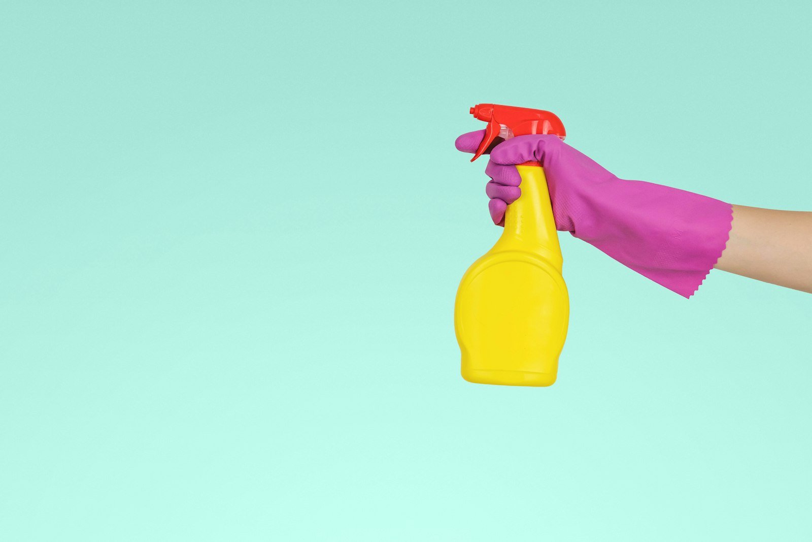 Clean spray bottle and polished interior